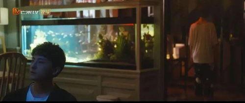 国产乱理,揭秘中国影视行业背后的乱象与反思  第3张