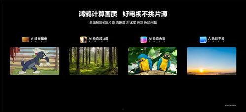 国产第一视频,引领视听新潮流的视听盛宴 第2张 国产第一视频,引领视听新潮流的视听盛宴 第2张