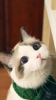 幼幼国产,探索梦幻童年的奇幻世界 第2张 幼幼国产,探索梦幻童年的奇幻世界 第2张