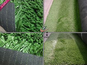 草国产,探寻自然与文化的交融之地 第2张 草国产,探寻自然与文化的交融之地 第2张