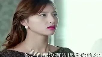 国产阿姨在线,揭秘中国家庭服务业的崛起与魅力  第3张